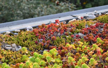 the cost of London Beach green roof installation