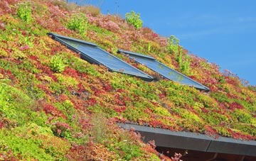 London Beach living roof systems